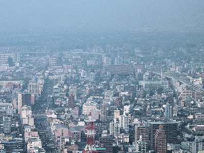 20100225-風景.jpg